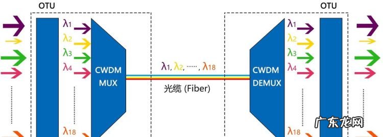 wdm是什么梗 啥意思,wdm是什么意思网络用语
