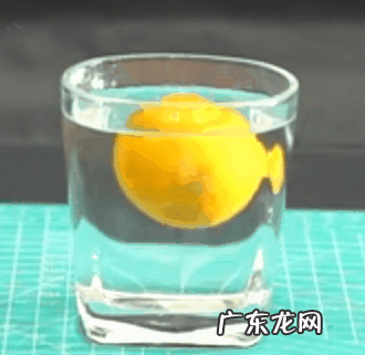 剥皮的橘子为什么会沉下去,橘子沉浮实验原理