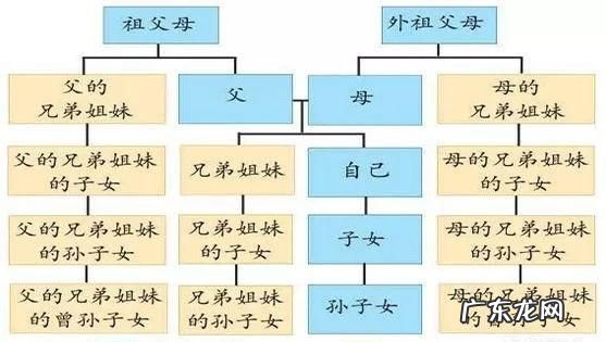 三代以内直系亲属有哪些人,三代以内直系亲属包括哪些人结婚