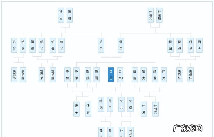 三代以内直系亲属有哪些人,三代以内直系亲属包括哪些人结婚