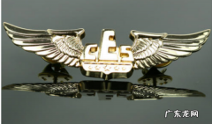 wing是什么梗 啥意思,wing by wing是什么意思
