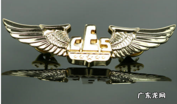 wing是什么梗 啥意思,wing by wing是什么意思