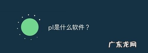 网络上pl什么意思,pl代表什么意思