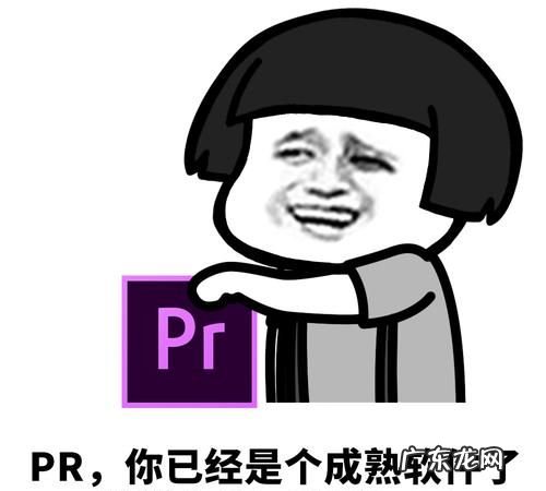 网络用语prpr是什么意思,网络用语prpr是什么意思
