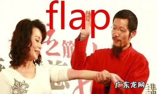 flap什么梗 啥意思,flap是什么意思