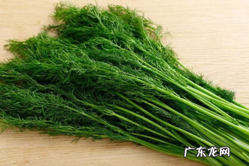 孜然和茴香是一样的,小茴香和孜然一样