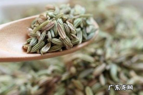 孜然和茴香是一样的,小茴香和孜然一样