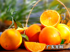 橙子在冰箱里可以保存多久,橙子一般可以放多久不坏
