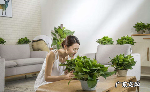 衣服会吸收甲醛,衣服会吸附甲醛和苯