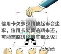 信用卡欠款多少会被起诉坐牢,民生银行信用卡欠款多少会被起诉坐牢