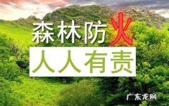 森林草原防火的重要性,凉山彝族自治州森林草原防灭火条例