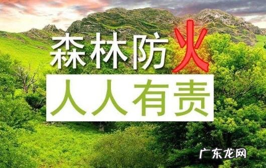 森林草原防火的重要性,凉山彝族自治州森林草原防灭火条例