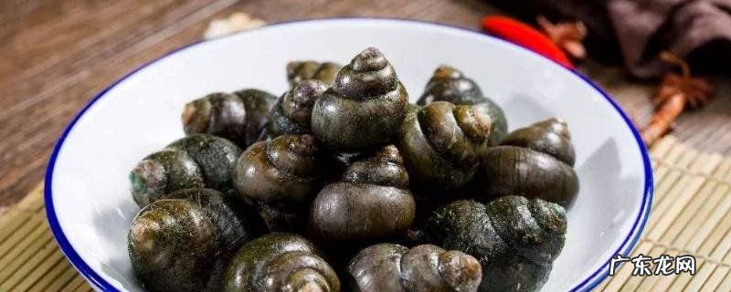 田螺的特点和生活特征 田螺的特点