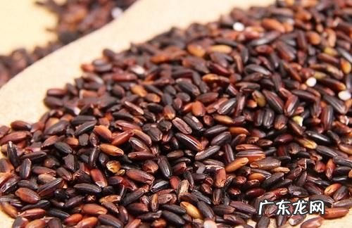 黑糯米的功效与作用,黑糯米的功效与作用