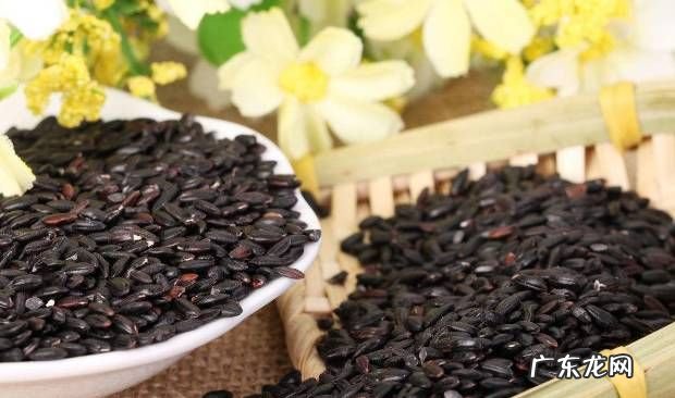 黑糯米的功效与作用,黑糯米的功效与作用