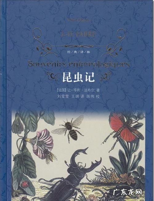 昆虫记是什么体裁的书,昆虫记的体裁是什么
