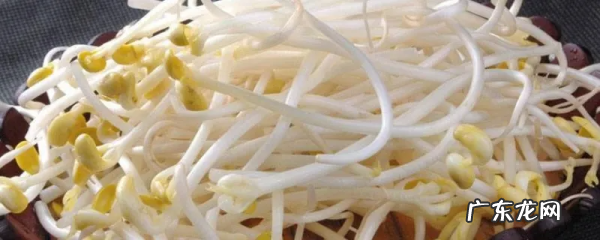 豆芽放冰箱3天还能吃,豆芽放在冰箱冷藏了几天还可以吃