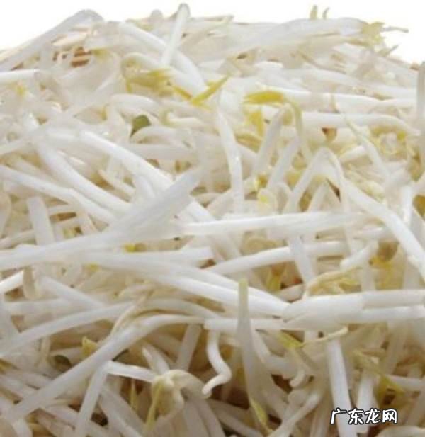 豆芽放冰箱3天还能吃,豆芽放在冰箱冷藏了几天还可以吃