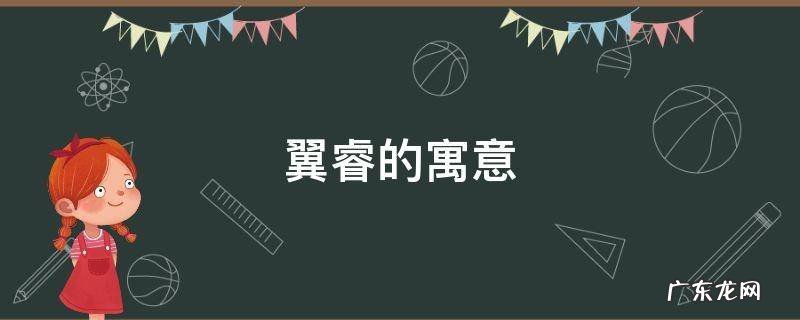 翼睿的寓意 睿翼是什么