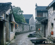 浙江牌照字母代表城市,浙江省车牌号代表地区