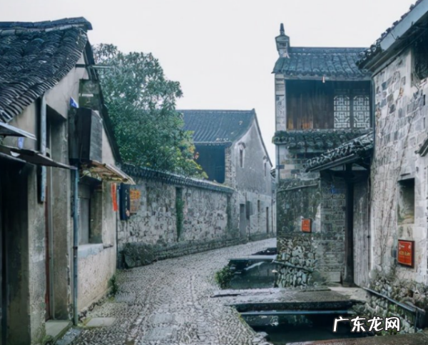 浙江牌照字母代表城市,浙江省车牌号代表地区