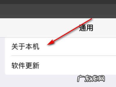 苹果平板ipad 怎么看A几的芯片,怎么区分芯片的脚位