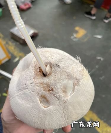 椰子为什么有空孔,在椰子上打两个洞什么意思
