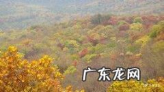 五花山在哪个省哪个市区,五花山在哪个地方