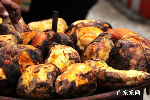 烤红薯不用锡纸可以,烤箱烤红薯需要锡纸包住