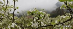 新都区景点大全 新都区景点