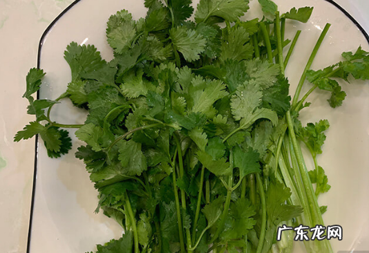 芫荽和香菜有什么区别,芫荽和香菜有什么区别芫荽和香菜的区别香菜为什么叫芫荽