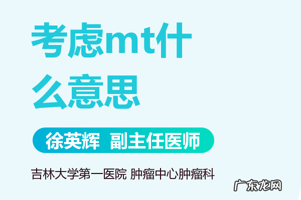 mt什么梗 啥意思,MT是什么意思