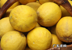香橼是什么植物,香橼的植物形态是怎样的
