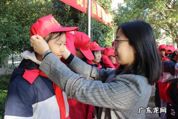 志愿服务三关爱内容包括,三关爱志愿服务指的是哪三个方面的活动