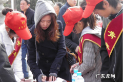 志愿服务三关爱内容包括,三关爱志愿服务指的是哪三个方面的活动