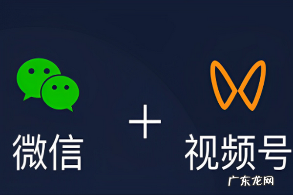 微信动态能看到访客,微信号能看到访客记录