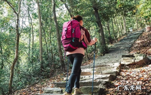 有关登山的名言名句,登山的名言名句