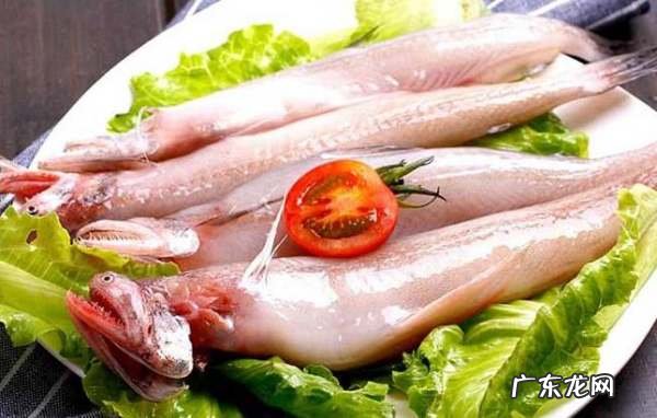 无刺鱼是什么鱼,无刺的鱼有哪些品种