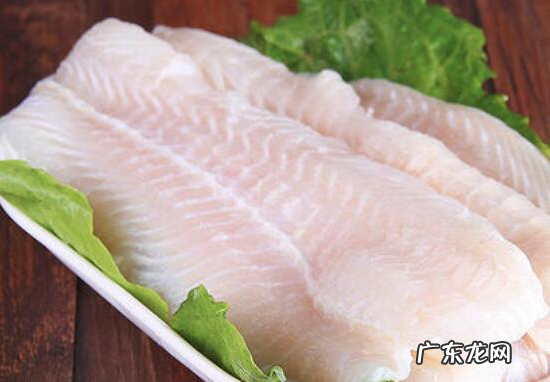 无刺鱼是什么鱼,无刺的鱼有哪些品种