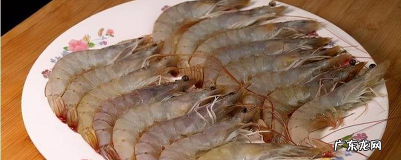虾的特点是什么 虾的特点
