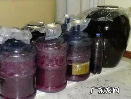 自己做的葡萄酒保质期多久,自酿葡萄酒能保存多久