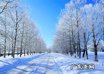 什么是拉尼娜,拉尼娜是什么