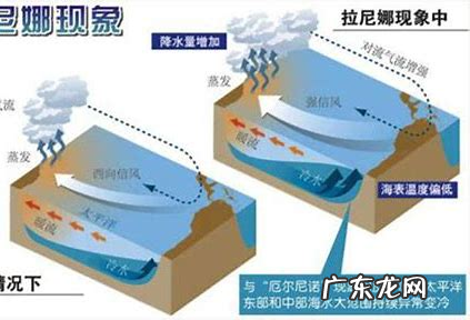 什么是拉尼娜,拉尼娜是什么