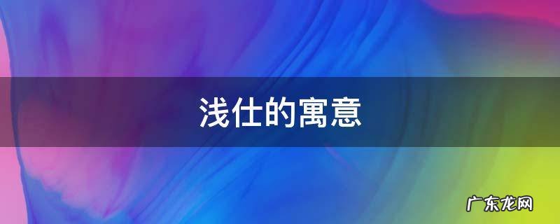 浅仕的寓意