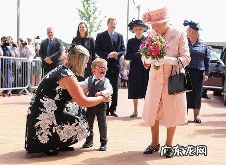 英国女王住的地方叫什么宫,英国女王的皇宫位于伦敦的哪个位置