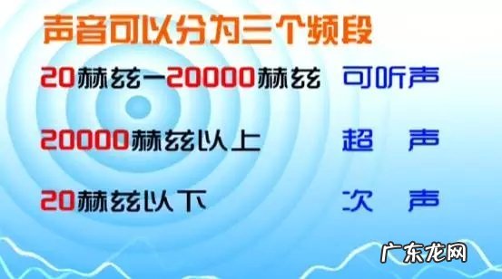超声波能驱赶老鼠吗,超声波真的能驱除老鼠蟑螂么