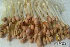 吃出芽的花生有什么好处,生吃花生有什么用处
