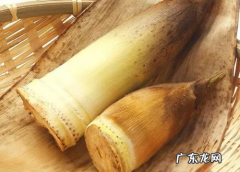 新鲜竹笋怎么冰箱保存,竹笋怎么保存新鲜竹笋怎么保存冷水下锅还是热水