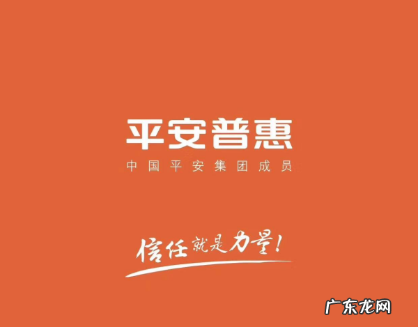 平安普惠服务费保险费是什么,平安普惠怎么减免服务费和保险费