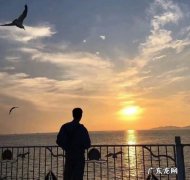 关于成年人的世界句子,成人的句子经典语录